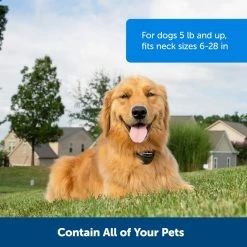 PetSafe Stay & Play Wireless Fence Rechargeable Receiver Collar -PetSafe Sales Shop 1016176 A3