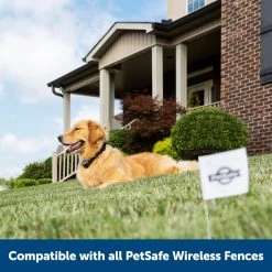 PetSafe Stay & Play Wireless Fence Rechargeable Receiver Collar -PetSafe Sales Shop 1016176 A6
