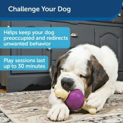 PetSafe Busy Buddy Bouncy Bone Dog Chew Toy, Medium/Large -PetSafe Sales Shop 1039159 A3
