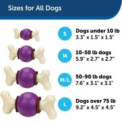 PetSafe Busy Buddy Bouncy Bone Dog Chew Toy, Medium/Large -PetSafe Sales Shop 1039159 A4