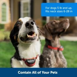 PetSafe Stubborn Dog Stay & Play Wireless Fence Receiver Collar -PetSafe Sales Shop 1052855 A3