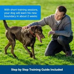 PetSafe Stubborn Dog Stay & Play Wireless Fence Receiver Collar -PetSafe Sales Shop 1052855 A4