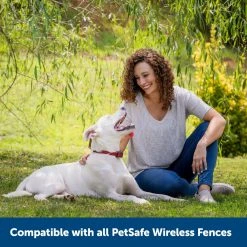 PetSafe Stubborn Dog Stay & Play Wireless Fence Receiver Collar -PetSafe Sales Shop 1052855 A6