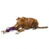 PetSafe Busy Buddy Chuckle Dog Chew Toy -PetSafe Sales Shop 1069293