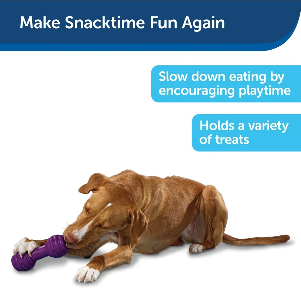 PetSafe Busy Buddy Chuckle Dog Chew Toy 4 PetSafe Busy Buddy Chuckle Dog Chew Toy - Image 2