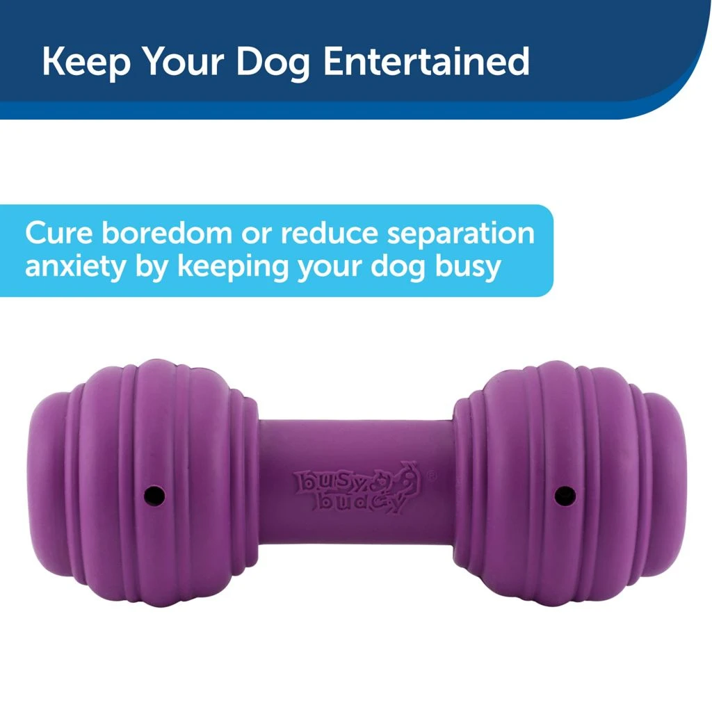 PetSafe Busy Buddy Chuckle Dog Chew Toy 6 PetSafe Busy Buddy Chuckle Dog Chew Toy - Image 4