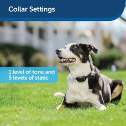 PetSafe YardMax Rechargeable In-Ground Fence Collar -PetSafe Sales Shop 1106831 A2