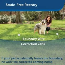 PetSafe YardMax Rechargeable In-Ground Fence Collar -PetSafe Sales Shop 1106831 A4