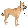 PetSafe Gentle Leader Quick Release Dog Head Collar -PetSafe Sales Shop 1106857