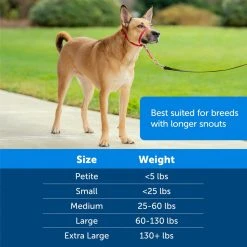 PetSafe Gentle Leader Quick Release Dog Head Collar -PetSafe Sales Shop 1106857 A5