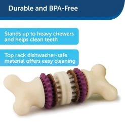 PetSafe Busy Buddy Dental Health Bristle Bone Dog Chew Toy, Large -PetSafe Sales Shop 1106870 A2