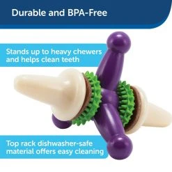 PetSafe Busy Buddy Dental Health Jack Dog Chew Toy, Small -PetSafe Sales Shop 1106871 A2