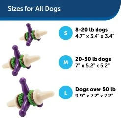 PetSafe Busy Buddy Dental Health Jack Dog Chew Toy, Small -PetSafe Sales Shop 1106871 A4