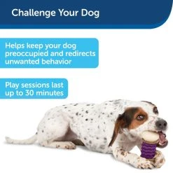 PetSafe Busy Buddy Nobbly Nubbly Dog Chew Toy, Small -PetSafe Sales Shop 1106873 A3