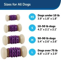 PetSafe Busy Buddy Nobbly Nubbly Dog Chew Toy, Small -PetSafe Sales Shop 1106873 A4