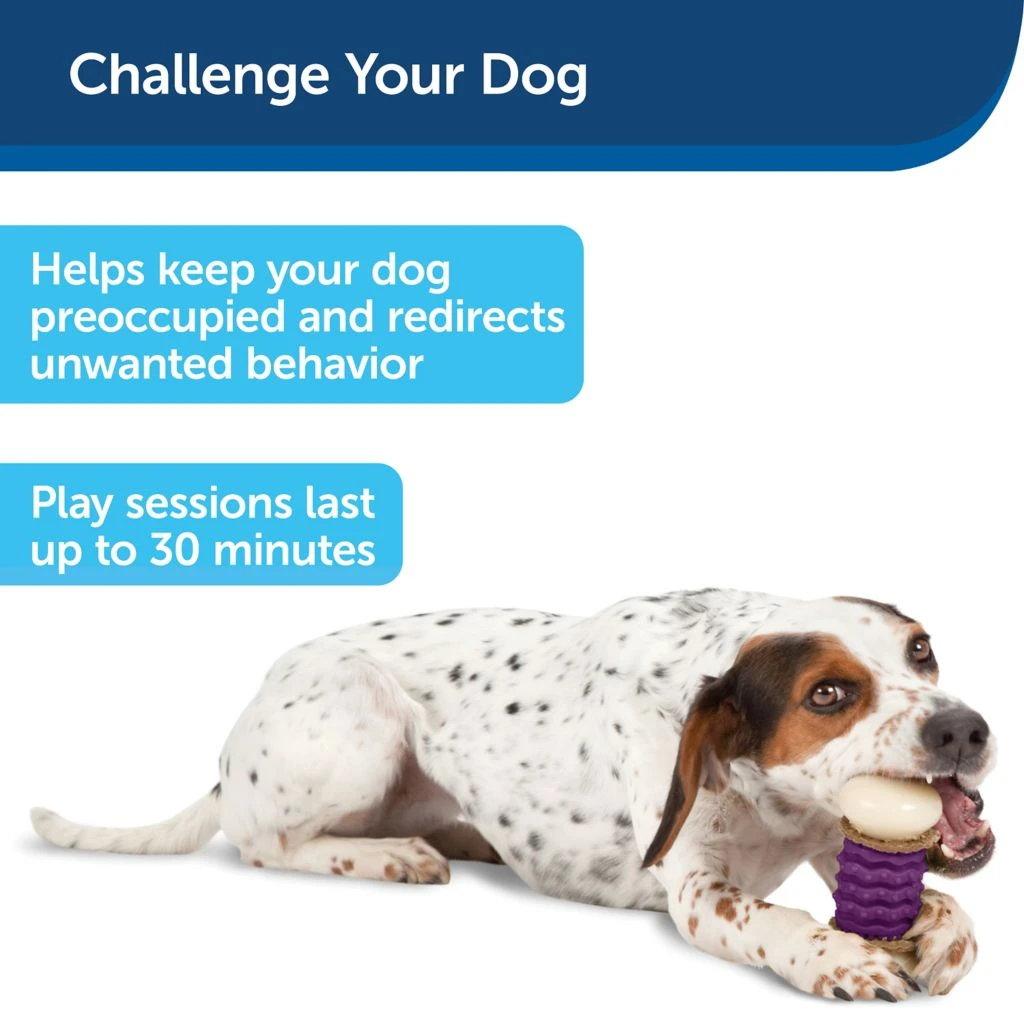 PetSafe Busy Buddy Dental Health Nobbly Nubbly Dog Chew Toy, Medium 5 PetSafe Busy Buddy Dental Health Nobbly Nubbly Dog Chew Toy, Medium - Image 3