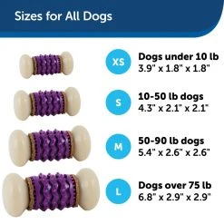 PetSafe Busy Buddy Dental Health Nobbly Nubbly Dog Chew Toy, Large, Size C -PetSafe Sales Shop 1106876 A4