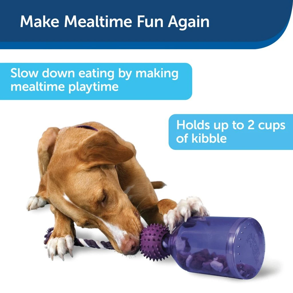 PetSafe Busy Buddy Tug-A-Jug Dog Toy, Small 4 PetSafe Busy Buddy Tug-A-Jug Dog Toy, Small - Image 2