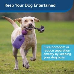 PetSafe Busy Buddy Tug-A-Jug Dog Toy, Small 11 PetSafe Busy Buddy Tug-A-Jug Dog Toy, Small -PetSafe Sales Shop 1106880 A3