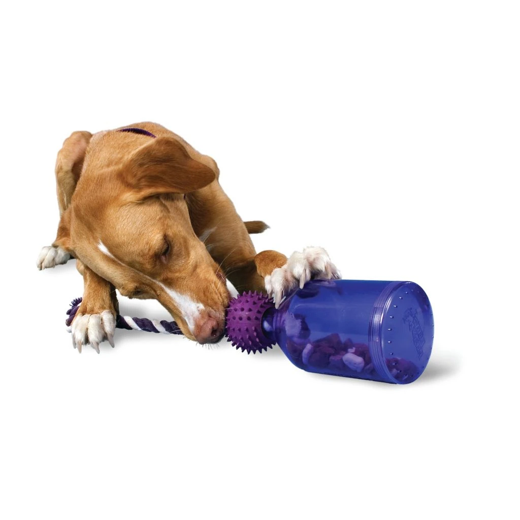 PetSafe Busy Buddy Tug-A-Jug Dog Toy, Medium/Large 3 PetSafe Busy Buddy Tug-A-Jug Dog Toy, Medium/Large