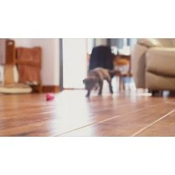 PetSafe Busy Buddy Original Rawhide Dog Chew Treat Ring Refills, Small -PetSafe Sales Shop 1106893 VIDEO 1 480x270 1200k