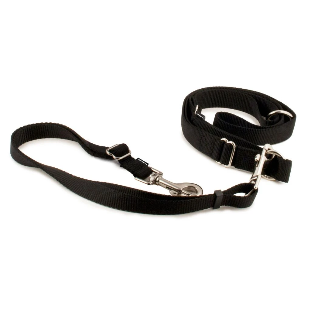 PetSafe Hands-Free Dog Leash 3 PetSafe Hands-Free Dog Leash