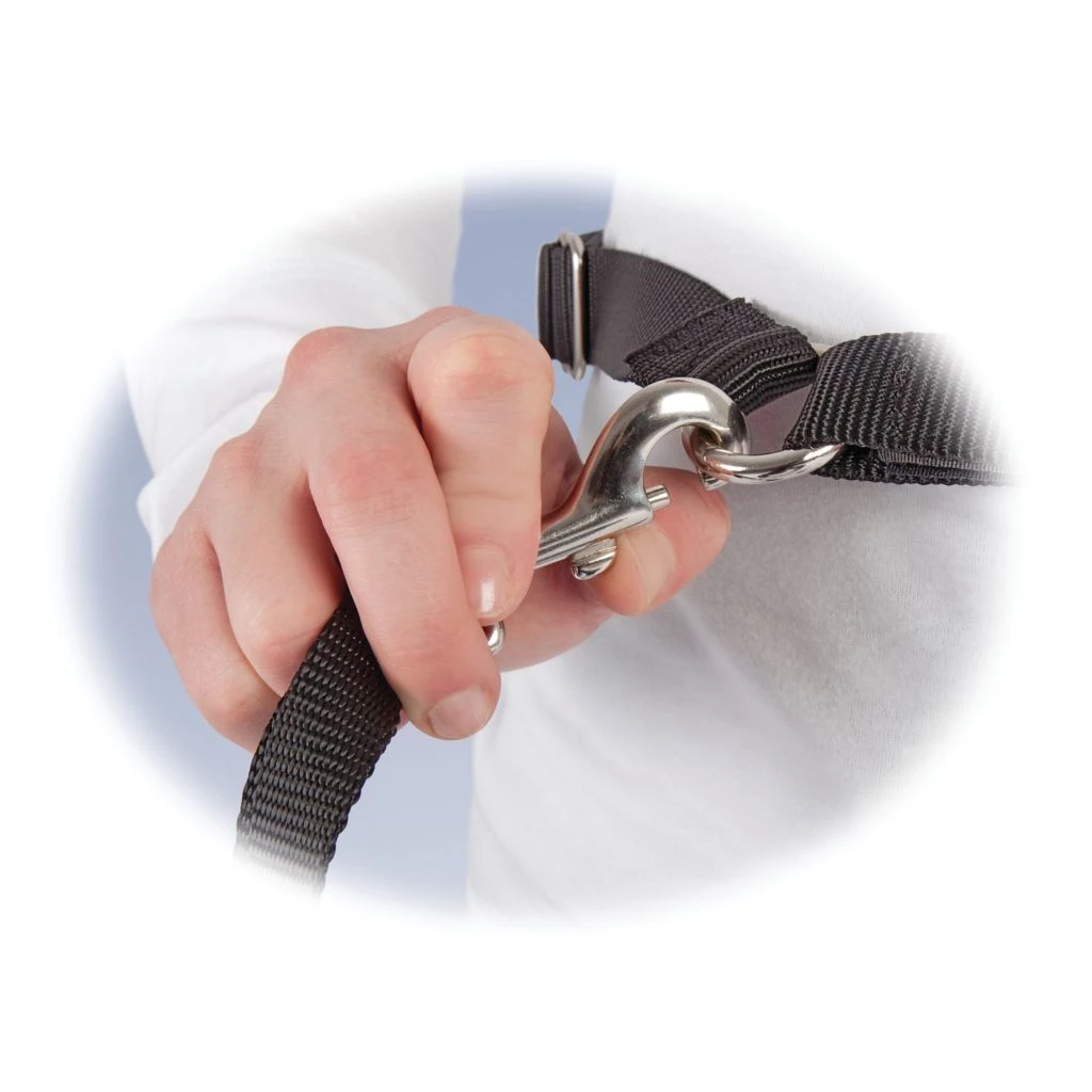 PetSafe Hands-Free Dog Leash 5 PetSafe Hands-Free Dog Leash - Image 3