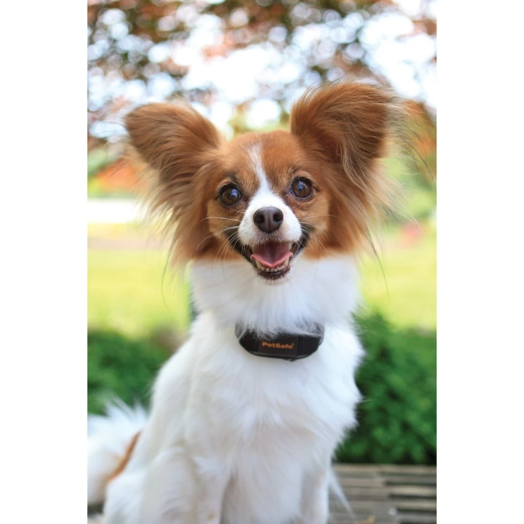 PetSafe Vibration Bark Control Dog Collar 4 PetSafe Vibration Bark Control Dog Collar - Image 2