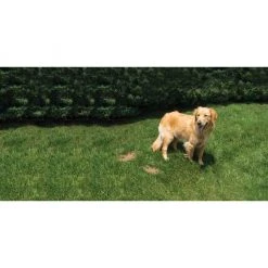 PetSafe Lawn Protector Pet Urine Neutralizer Water Pucks, 2 ct. -PetSafe Sales Shop 1181929 A5