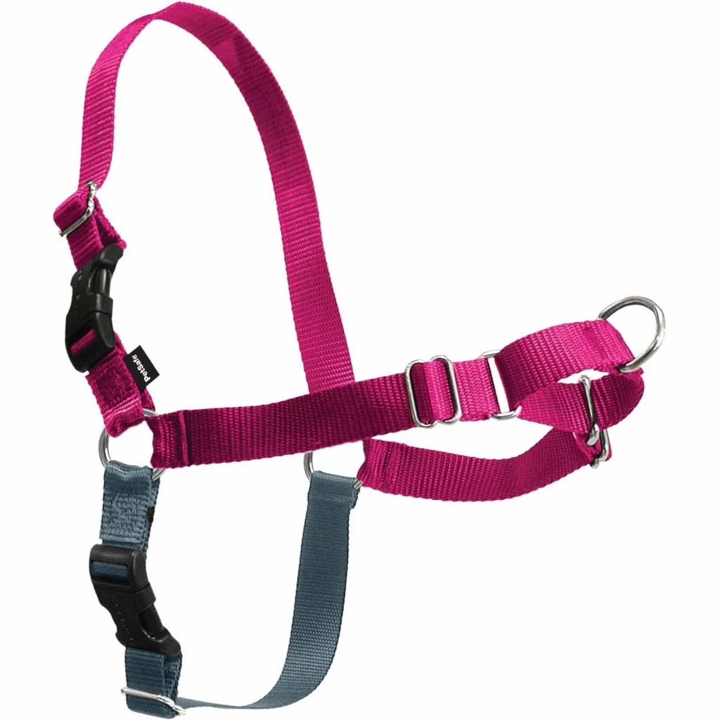 PetSafe Easy Walk Dog Harness 8 PetSafe Easy Walk Dog Harness - Image 6