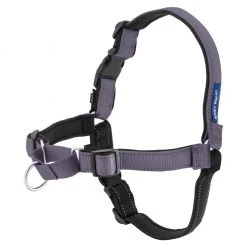 PetSafe Easy Walk Deluxe No-Pull Dog Harness -PetSafe Sales Shop 1182076