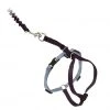 PetSafe Come With Me Kitty Adjustable Cat Harness and Bungee Leash, 3/8 in. -PetSafe Sales Shop 1182089