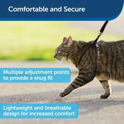 PetSafe Come With Me Kitty Adjustable Cat Harness and Bungee Leash, 3/8 in. -PetSafe Sales Shop 1182089 A2