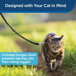 PetSafe Come With Me Kitty Adjustable Cat Harness and Bungee Leash, 3/8 in. -PetSafe Sales Shop 1182089 A3
