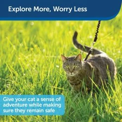 PetSafe Come With Me Kitty Adjustable Cat Harness and Bungee Leash, 3/8 in. -PetSafe Sales Shop 1182089 A4