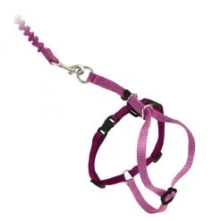 PetSafe Come With Me Kitty Adjustable Cat Harness and Bungee Leash, 3/8 in. -PetSafe Sales Shop 1182090