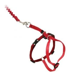 PetSafe Come With Me Kitty Adjustable Cat Harness and Bungee Leash, 3/8 in. -PetSafe Sales Shop 1182093
