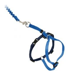 PetSafe Come With Me Kitty Adjustable Cat Harness and Bungee Leash, 3/8 in. -PetSafe Sales Shop 1182094