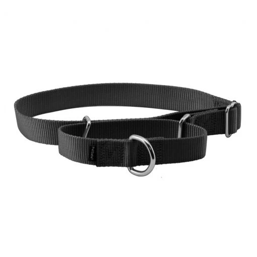 PetSafe Premier Martingale Dog Collar -PetSafe Sales Shop 1182198