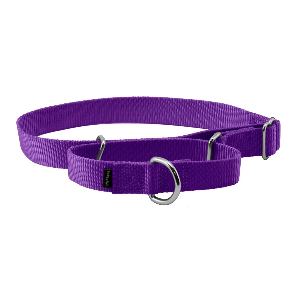 PetSafe Premier Martingale Dog Collar 6 PetSafe Premier Martingale Dog Collar - Image 4