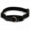 PetSafe Martingale Dog Collar with Quick Snap Buckle -PetSafe Sales Shop 1182227