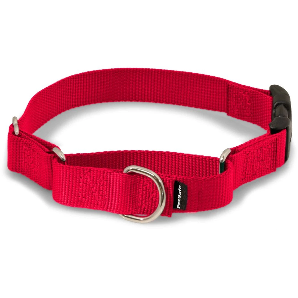 PetSafe Martingale Dog Collar with Quick Snap Buckle 6 PetSafe Martingale Dog Collar with Quick Snap Buckle - Image 4