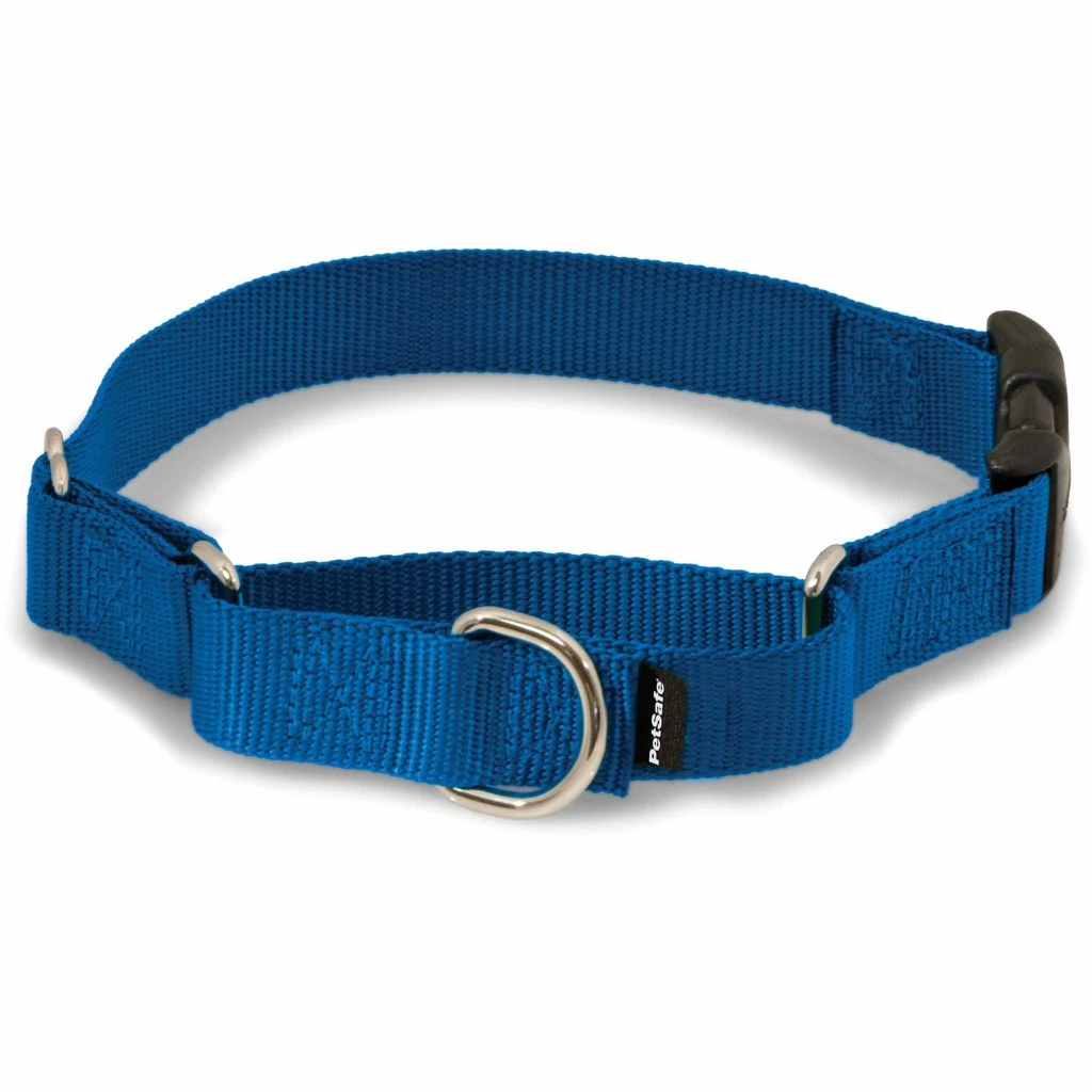 PetSafe Martingale Dog Collar with Quick Snap Buckle 5 PetSafe Martingale Dog Collar with Quick Snap Buckle - Image 3