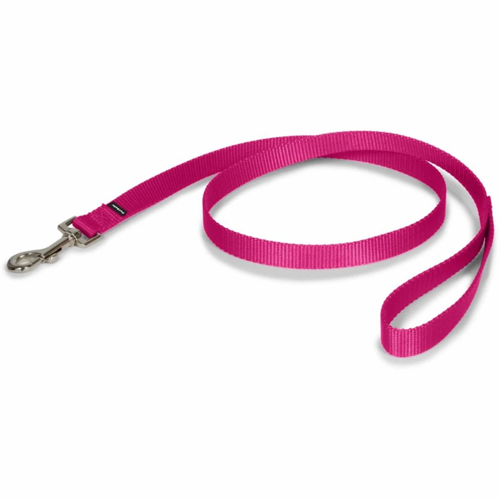 PetSafe Nylon Dog Leash 7 PetSafe Nylon Dog Leash - Image 5