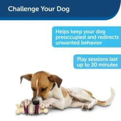 PetSafe Busy Buddy Bristle Bone, Extra Small -PetSafe Sales Shop 1182346 A3