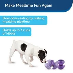 PetSafe Busy Buddy Magic Mushroom Dog Chew Toy 9 PetSafe Busy Buddy Magic Mushroom Dog Chew Toy -PetSafe Sales Shop 1182363 A1