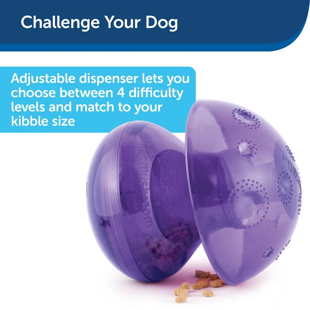 PetSafe Busy Buddy Magic Mushroom Dog Chew Toy 5 PetSafe Busy Buddy Magic Mushroom Dog Chew Toy - Image 3