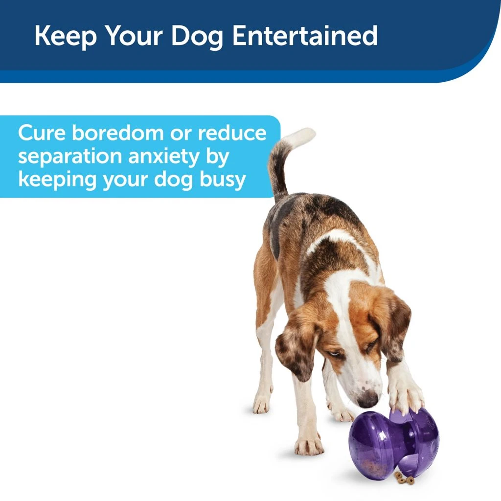 PetSafe Busy Buddy Magic Mushroom Dog Chew Toy 6 PetSafe Busy Buddy Magic Mushroom Dog Chew Toy - Image 4