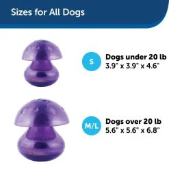 PetSafe Busy Buddy Magic Mushroom Dog Chew Toy 13 PetSafe Busy Buddy Magic Mushroom Dog Chew Toy -PetSafe Sales Shop 1182363 A5