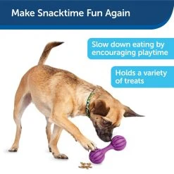 PetSafe Busy Buddy Waggle Dog Chew Toy 13 PetSafe Busy Buddy Waggle Dog Chew Toy -PetSafe Sales Shop 1182381 A2